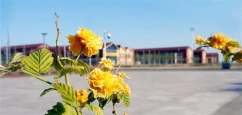 再添新血！曹职院2019级新生陆续报到