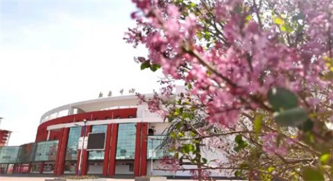 遵化职校：“珠行万里” 踏出师生情谊新征程