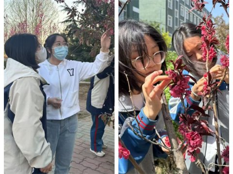 以自然为课堂，绽放青春绿意——滦南职教中心