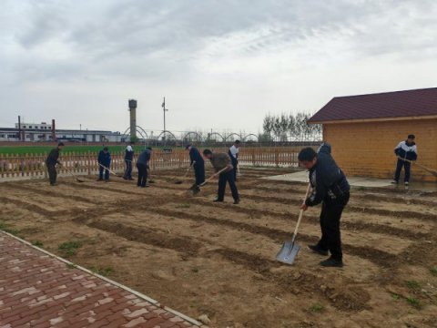 滦南职教中心将劳动教育课堂搬到田间地头